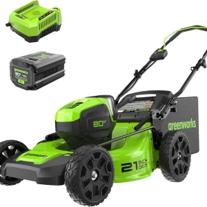 Greenworks PRO